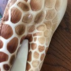 Vintage Franz Vase Giraffe and Baby Flower Vase — photo 6