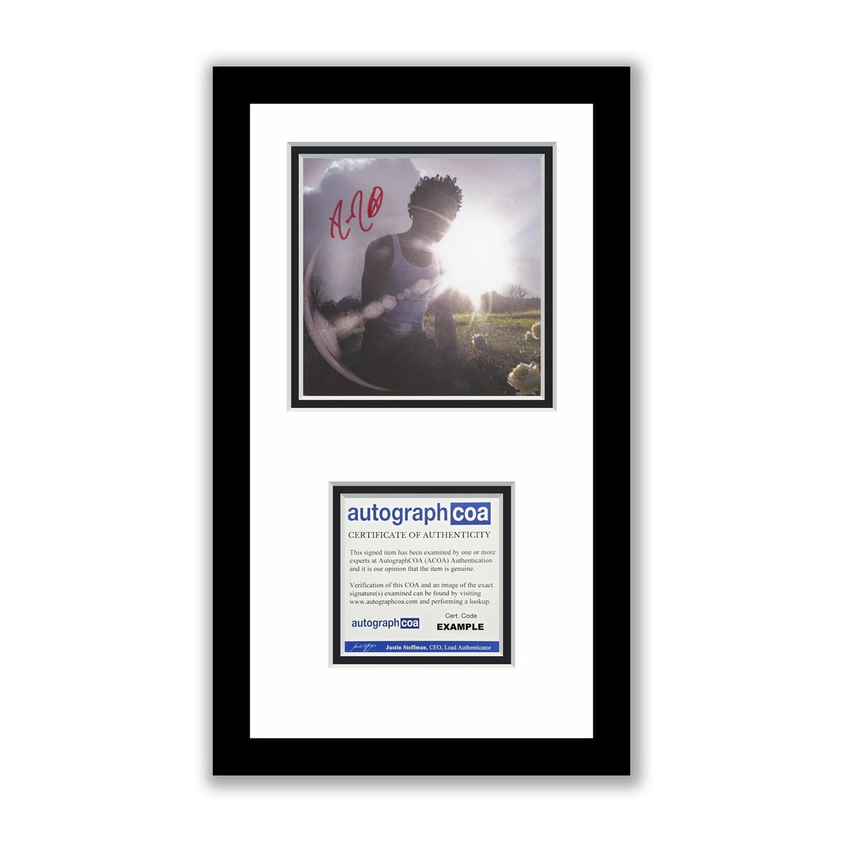 d4vd Autographed Signed Framed CD Withered ACOA | eBay