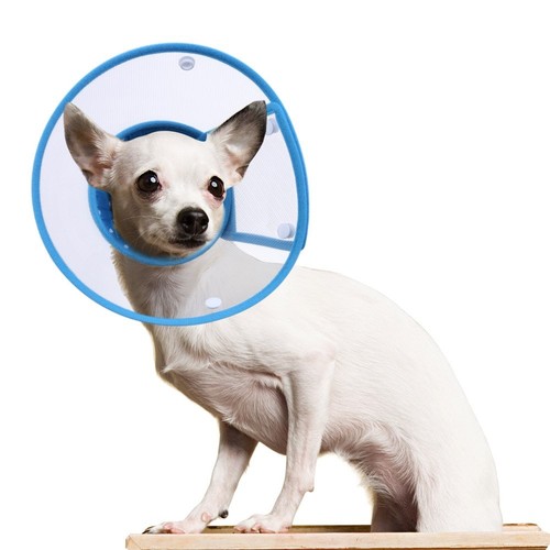 Cat Cone Collar, to Stop Licking, Recovery Elizabethan After Surgery, Clear S...