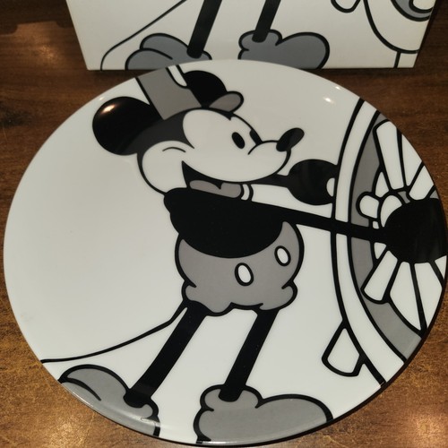 NUEVO BARCO DE VAPOR DISNEY WILLIE PLACA DE COLECCIONISTA DE BRENDA BLANCO 10,5 pulgadas - Imagen 2 de 4