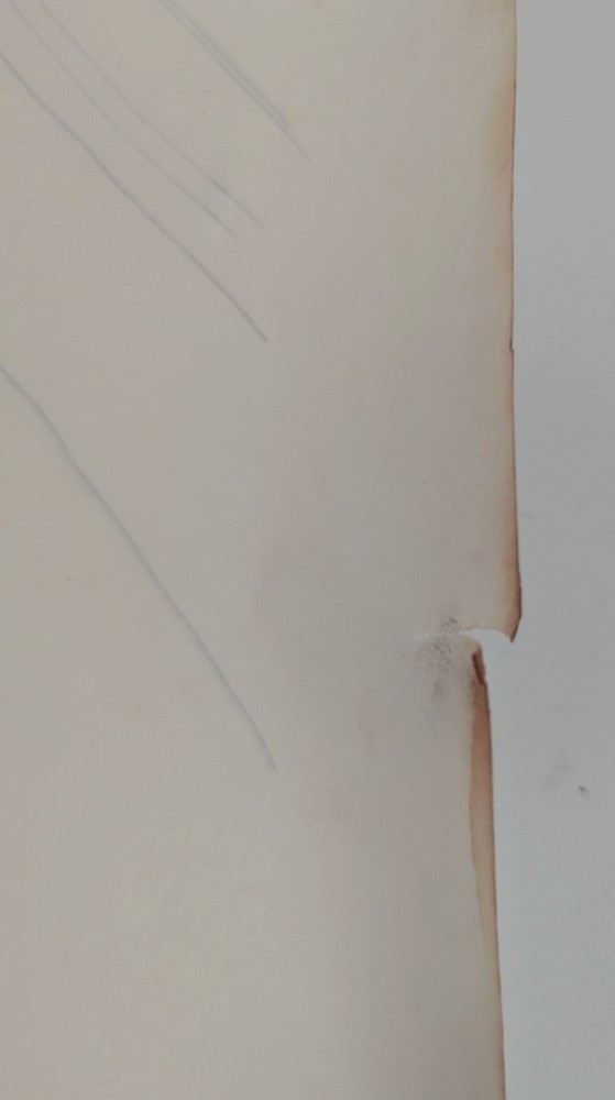 Bild 11 von 13