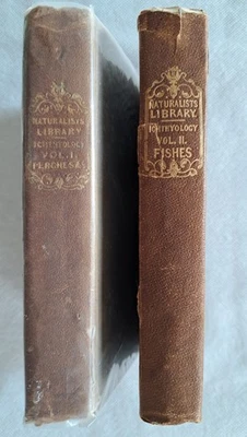 Naturalist's Library Ichthyology The Perch Family Naturgeschichte Fische 1835-40 - Bild 1 von 4