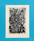 Signed Etching Coloring Snowdrop Ukrainian Artist Victor Poteryayko 1998