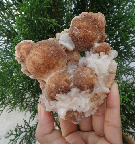 Thomsonite w/ Stilbite On Matrix Minerals Specimen #H30 - Picture 4 of 5