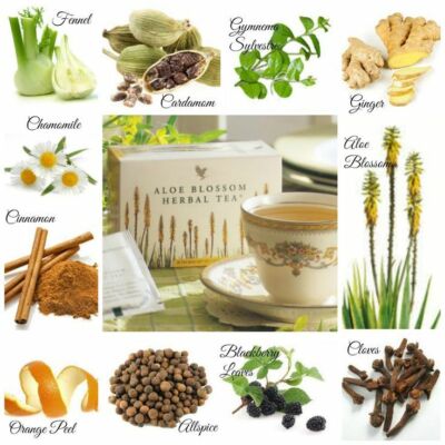 Forever Aloe Blossom Herbal Tea - 4 Boxes, 25 Bags Each, Cinnamon