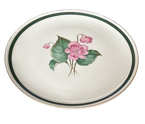 VINTAGE TAYLOR SMITH AND TAYLOR RETRO DINNER PLATES COLORCRAFT