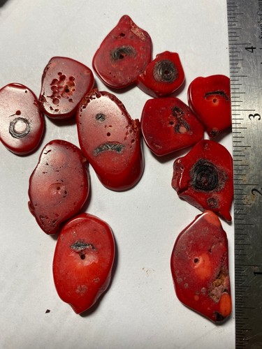 Bamboo Coral Beads 4mm to 28mm - Picture 41 of 50