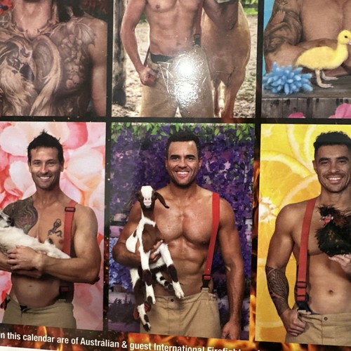 Calendario de pared de animales mixtos de bomberos australianos 2025 - Imagen 12 de 16