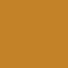 Confetti Cotton in Ochre Confetti Cottons Riley Blake