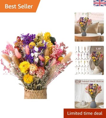 Boho 46 Teile natürliche Trockenblumen - perfekt zum Basteln & Wohndeko Aufwerten