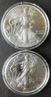 2016 and 2017 $1 American Silver Eagle Dollars in Capsules