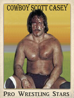 2021 LJACards "Pro Wrestling Stars" History of Wrestling Trading Cards ACEO - Picture 21 of 25