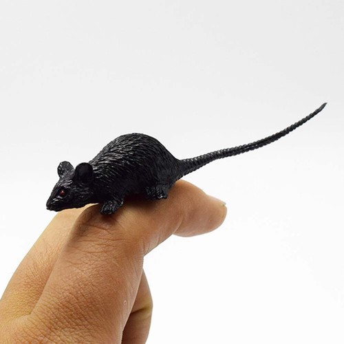 6 Pcs M Child Halloween Joke Prank Model Mini Mouse Plastic Insects - Afbeelding 3 van 11