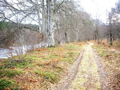 Photo 6x4 Track towards Woodend Bridge of Canny From 'Green Spot c2009