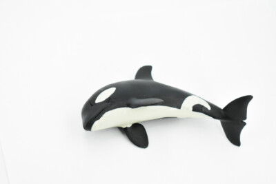 Killer Whale 完成品 Amazon.com: Safari Ltd. Wild Safari Sea Life Orca Figurine