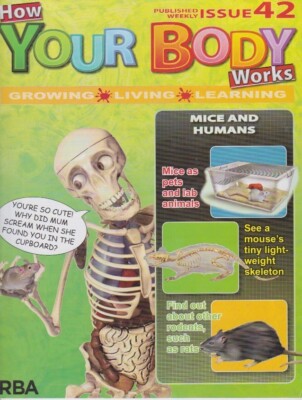 How your body works-issue 42-MICE AND HUMANS.