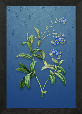 Water Forget Me Not Framed Wall Art Poster Canvas Print Picture