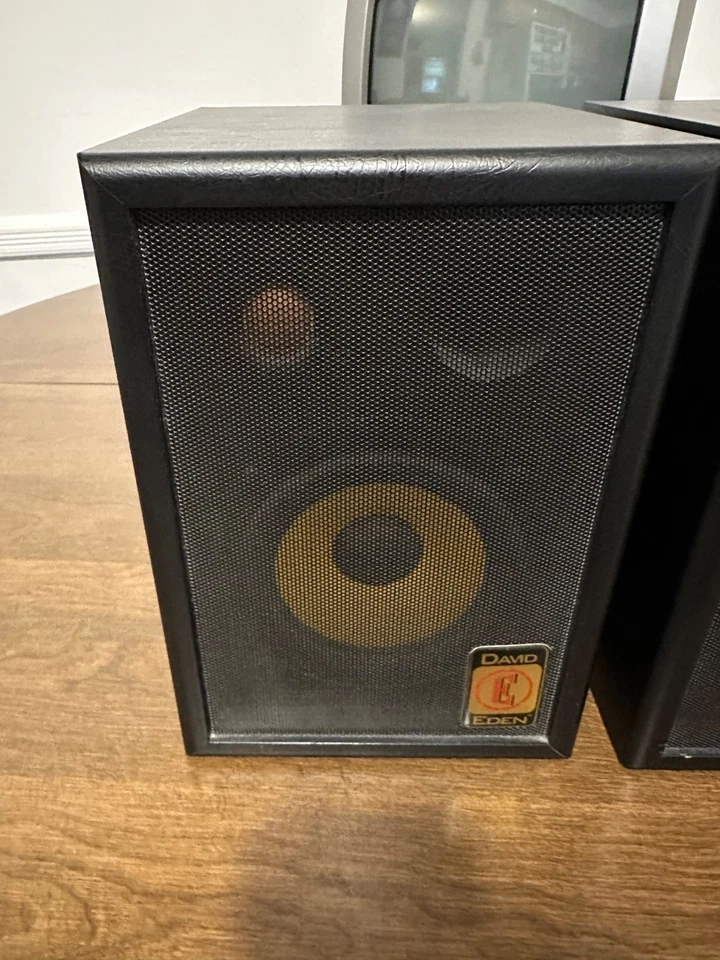 Monitores de estudio Eden Electronics EM5 ¡RAROS! Foto 3 de 4