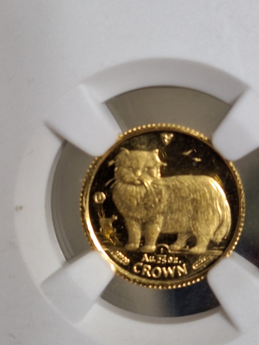 ISLE OF MAN 1989 PERSIAN CAT RARE MS 69 GRADED 1/25 TH OZ 24