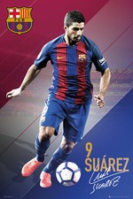 Liverpool FC soccer poster 24x36/" team collage with Luis Suarez