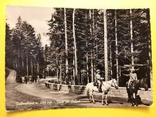 Vallombrosa (Firenze). Viale per Saltino - Ragazzi a cavallo.