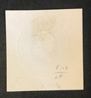 SCOTT#U113 BL/WHT MNH RESIDUE CAT$2.25 — photo 2