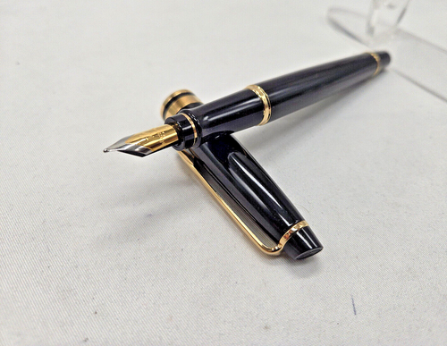 Waterman Expert Fountain Pen, Gloss Black with 23k GT, DuoM Nib+converter
