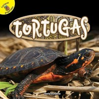 Darla Duhaime | Tortugas | Taschenbuch | Englisch (2026) | Gebunden