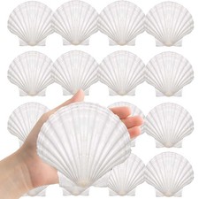 8 PCS Large White Scallop Shells 45 Inch Natural Seashells DIY Baking
