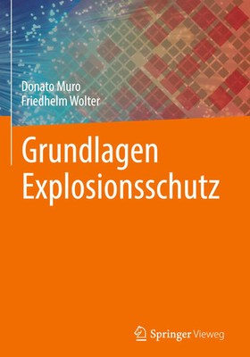 Donato Muro (u. a.) | Grundlagen Explosionsschutz | Buch | Deutsch (2024) | vii