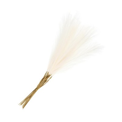 20 PCS Cream Faux Pampas Grass 21 inch Fake Stems for Living Room Decor