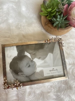 Photo Storage Box
