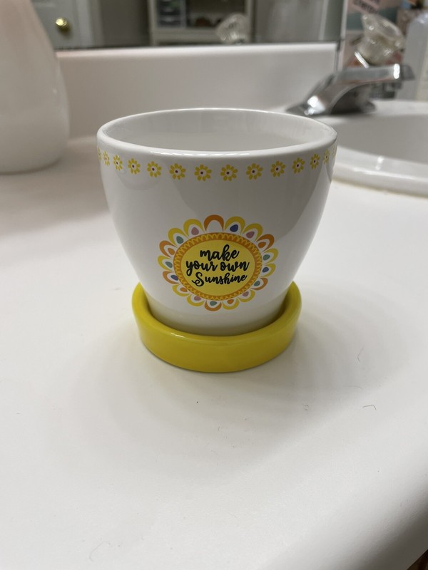 Small Flower Pot White And Yellow