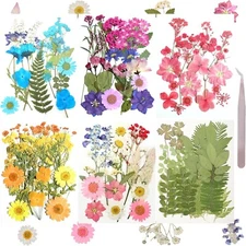 120Pcs Dried Pressed Flowers for Resin Mould Dry Flower Real Leaves with Tweezer
