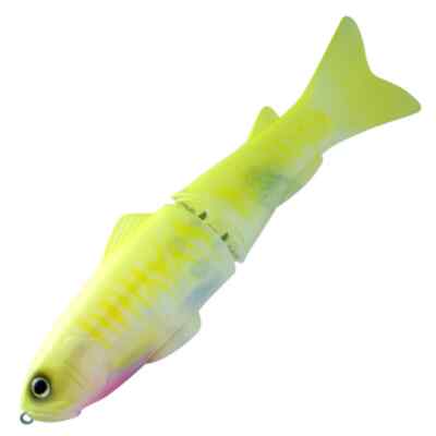 Deps New Slide Swimmer 250 Chart Oikawa SS BIG BAIT Lure NEW Japan