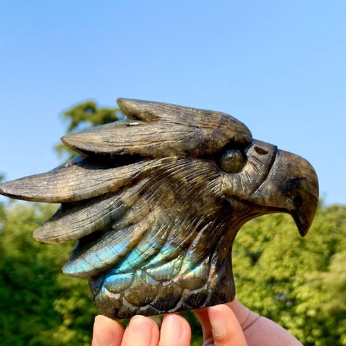 1.21LB Natural Beautiful Labradorite Crystal Hand- Carved Eagle Healing Decor - Picture 16 of 24