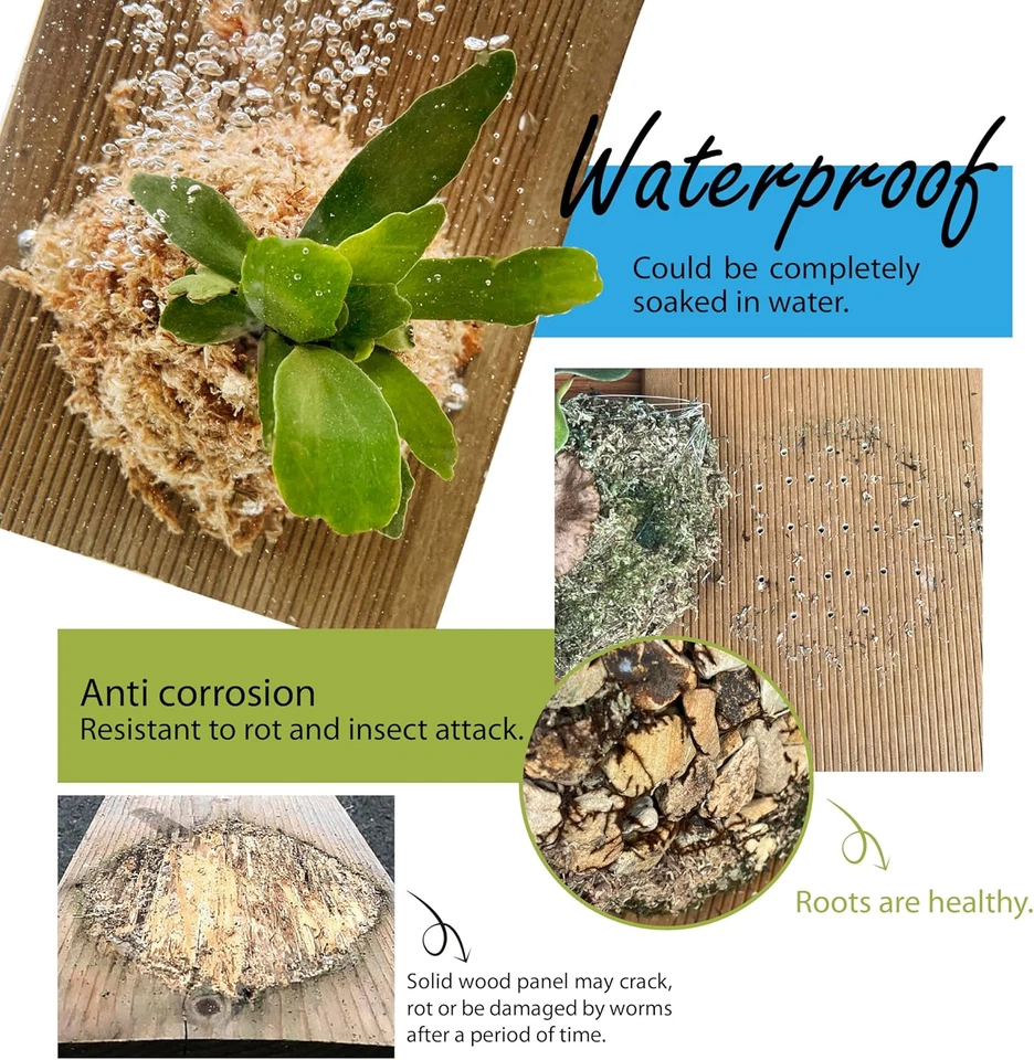 Staghorn Fern Mounting Board, Wall Planter, Hanging Planter, WPC Board, Ideal fo - Image 4 of 4