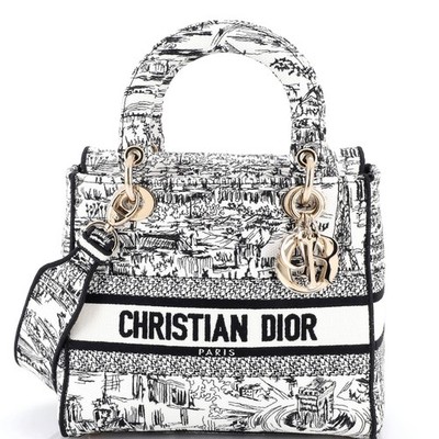 Christian Dior Lady D-Lite Bag Embroidered Canvas Medium