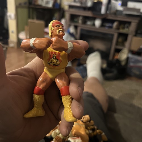 Hulk Hogan WWF WWE Wrestling Action Figure Hasbro ...