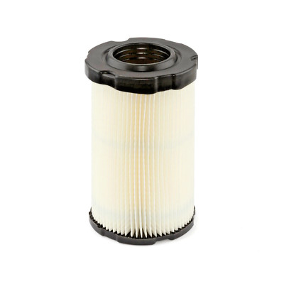 Briggs and Stratton 594201 Air Cleaner Cartridge Filter | eBay