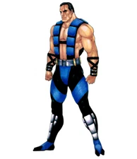 Mortal kombat sticker sub zero weatherproof bumper vinyl decal