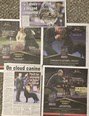   WESTMINSTER PURINA PRO PLAN *BEST IN SHOW WINNERS*  Articles+Pictures