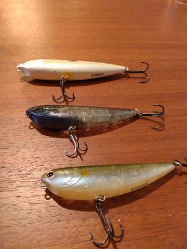 Masterpiece Lucky Craft Sammy Set   3