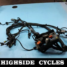 1331 07 HARLEY-DAVIDSON DYNA SUPERGLIDE MAIN WIRE HARNESS LOOM
