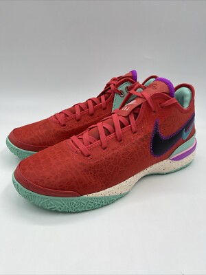 Nike Zoom LeBron NXXT Gen Track Red DR8784-600 Men's Size 14 | eBay