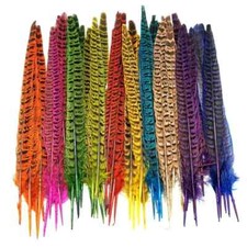 RINGNECK PHEASANT TAIL - 2 - Fly Tying Materials - Fly Tying Feathers - 10-12 in