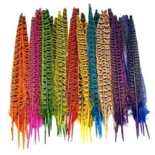 RINGNECK PHEASANT TAIL - 2 - Fly Tying Materials - Fly Tying Feathers - 10-12 in