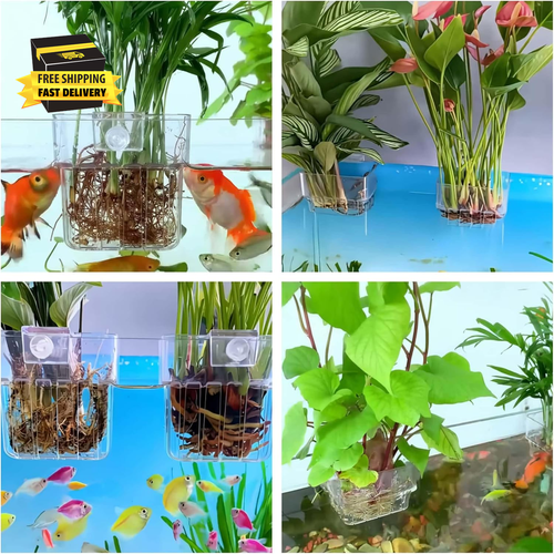 2 Pack Clear Aquarium Plant Holder Top Hanging Fish Tank Plant Holders Fits up t - Picture 3 of 6