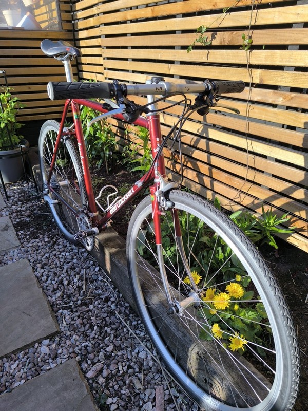 Bob Jackson Super Tourist Reynolds 531