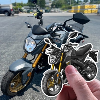 Kawasaki Z125 Pro 2016-2025 Stickers - Set of 3 Kiss-Cut Decals